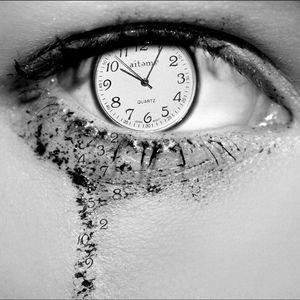 Meet your Posher, Jodi